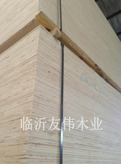 異形托盤板不可貌相，發(fā)展前景不可限量